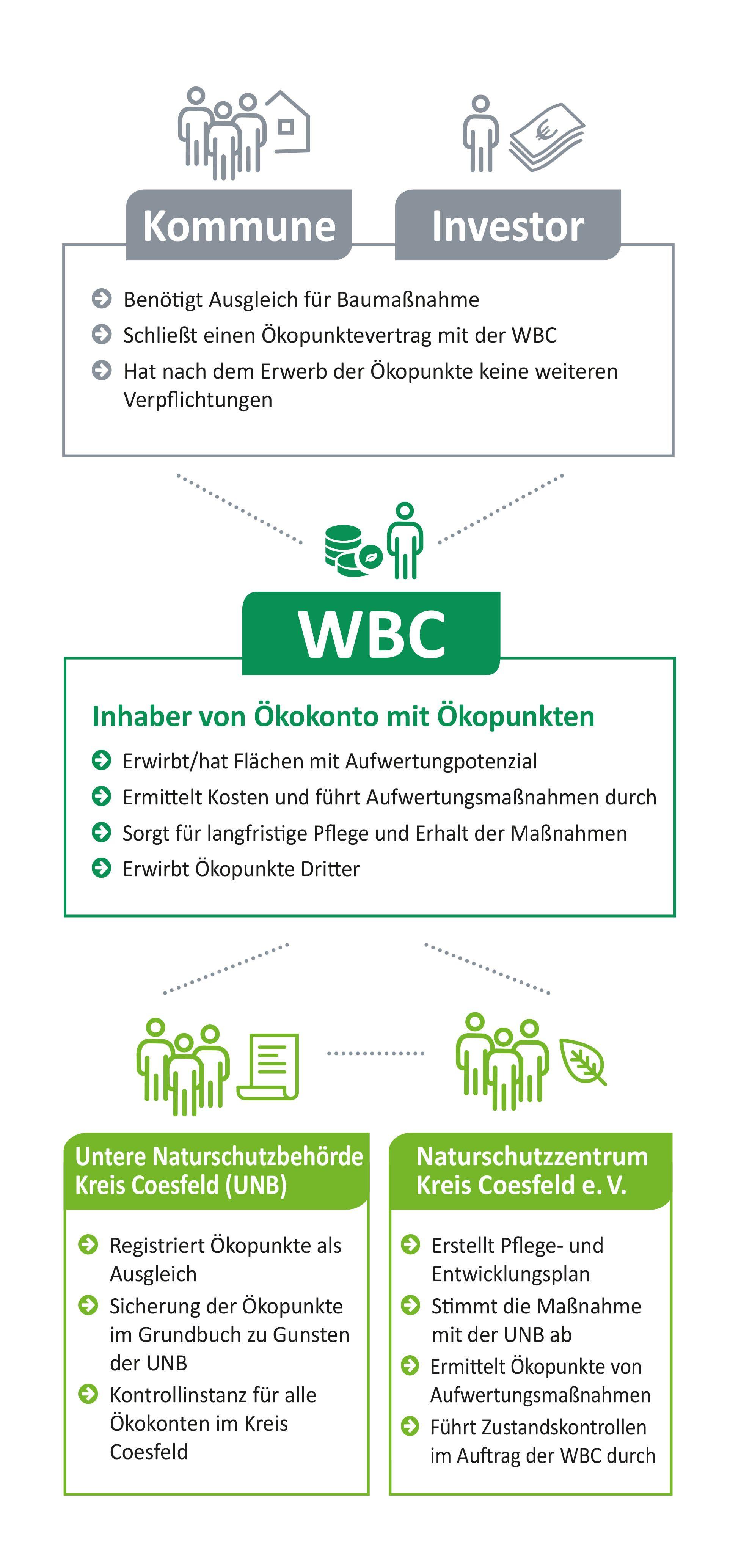 WBC Oekopunkte-Grafik - Flyer